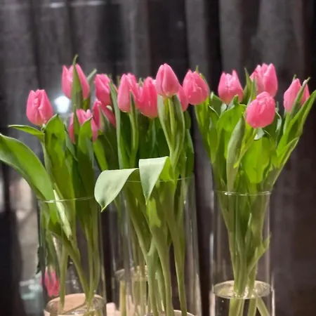 Lombokliving I Luxury 2bdr & Parking Lippenslaan Apartamento