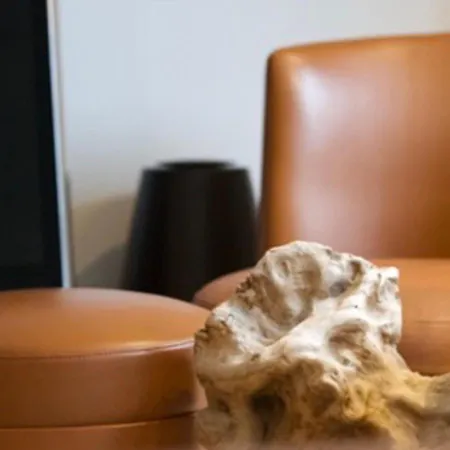 Apartamento Lombokliving I Luxury 2bdr & Parking Lippenslaan