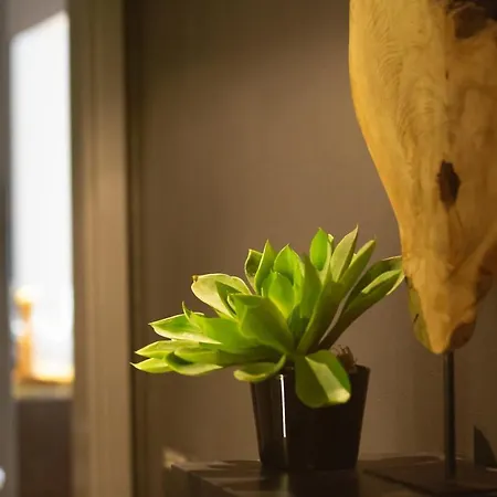 Lombokliving I Luxury 2bdr & Parking Lippenslaan Apartamento